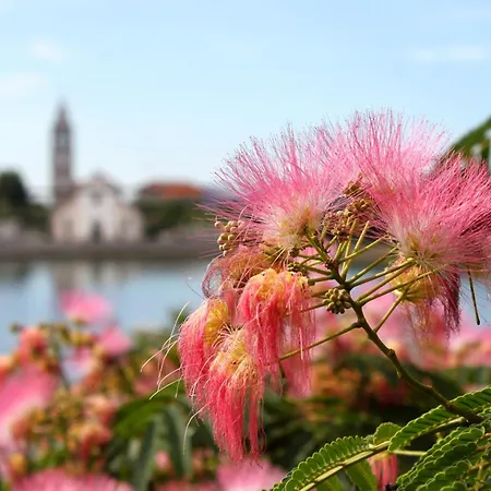 Double 4309d بيت ضيافة Pašman