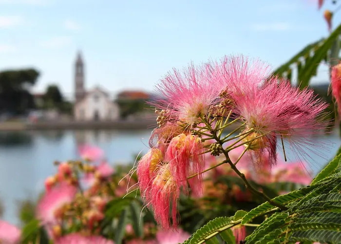 Double 4309d Pensionat Pašman